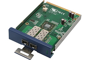 Two PCI-Express 10 Gigabit Ethernet Acceleration